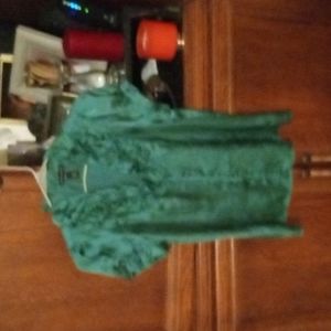 Fang green blouse